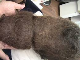 Matted Knotted Tangled Hair Can Look Like a Stick or Tree Branch!