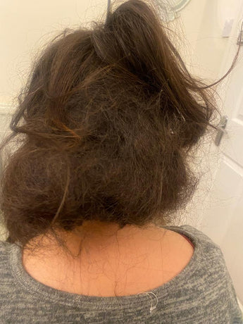 The Laws of Detangling….Matted Tangled Hair That is!