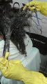 Salon Make Money Detangling and Dematting Tangled Matted Hair