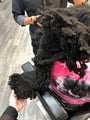 1 Detangle Donations - Support and Save Matted Tangled Hair