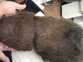Detangler Hair Tech Training- With Tangled Hair Techs Professional Hair Detanglers